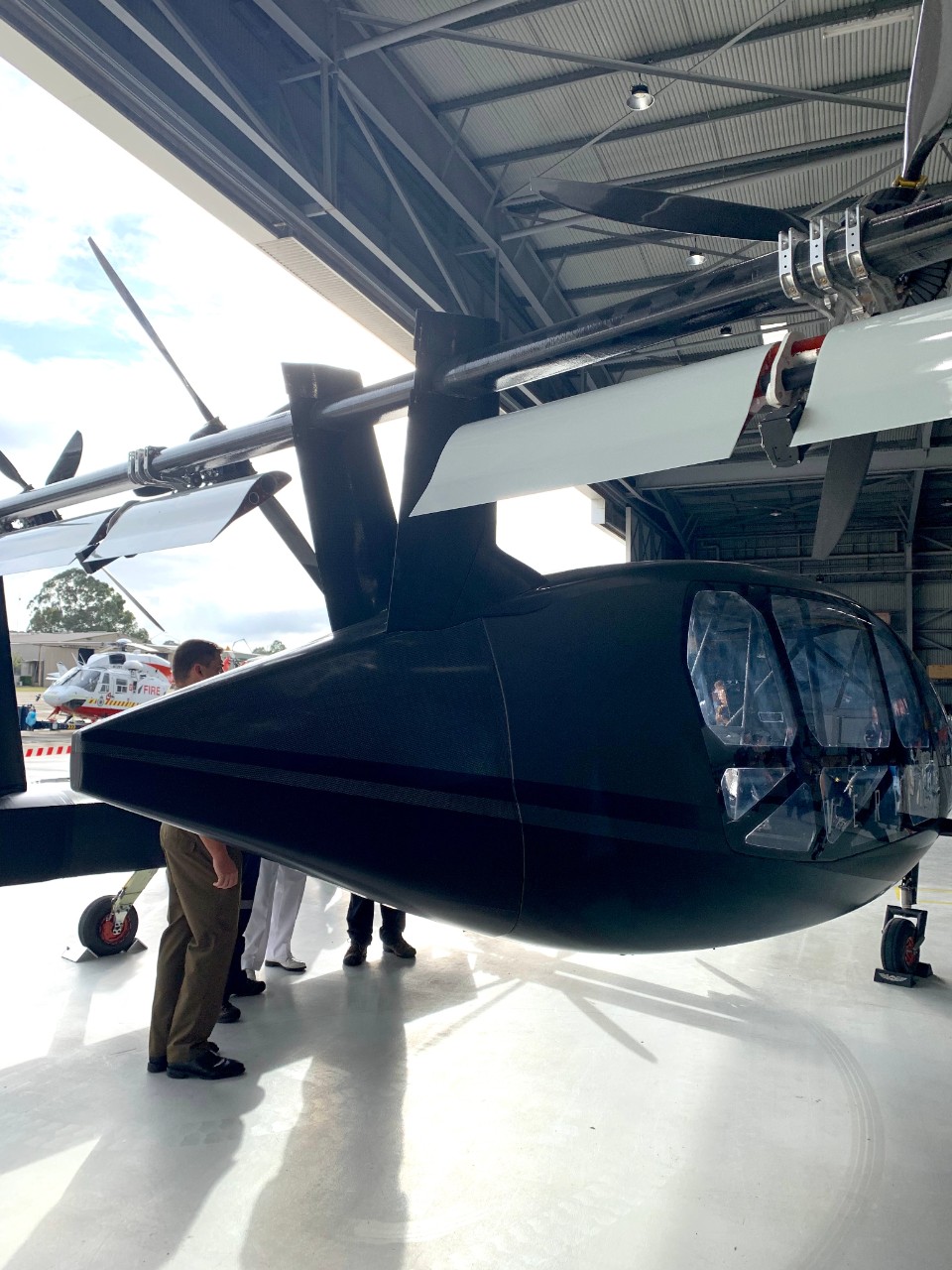 Back view of Vertiia.