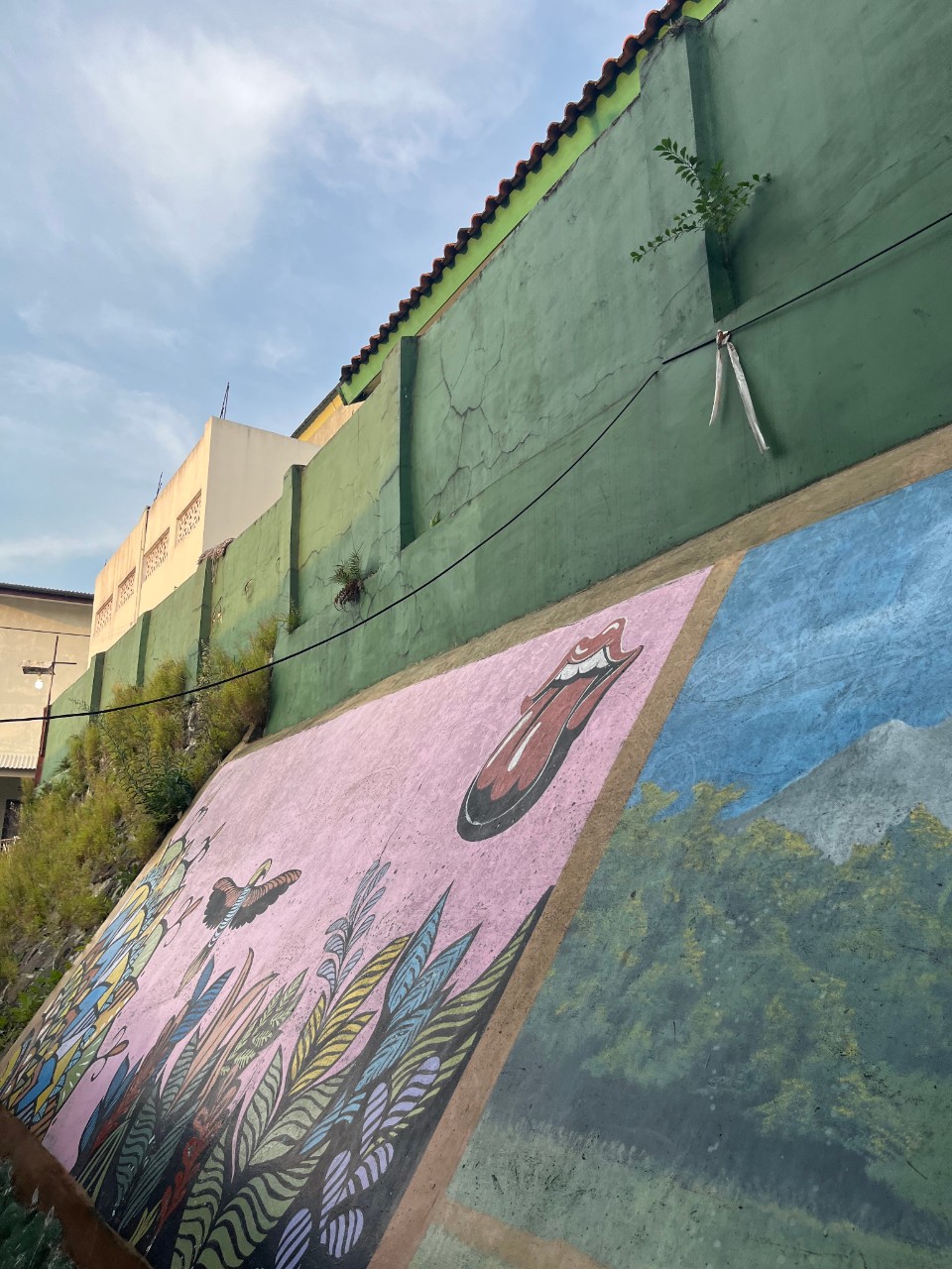 Exterior walls decorated with murals in Bandung, Indonesia