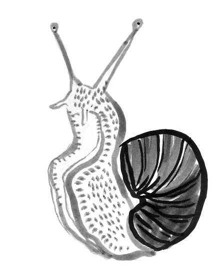 A painting of a snail