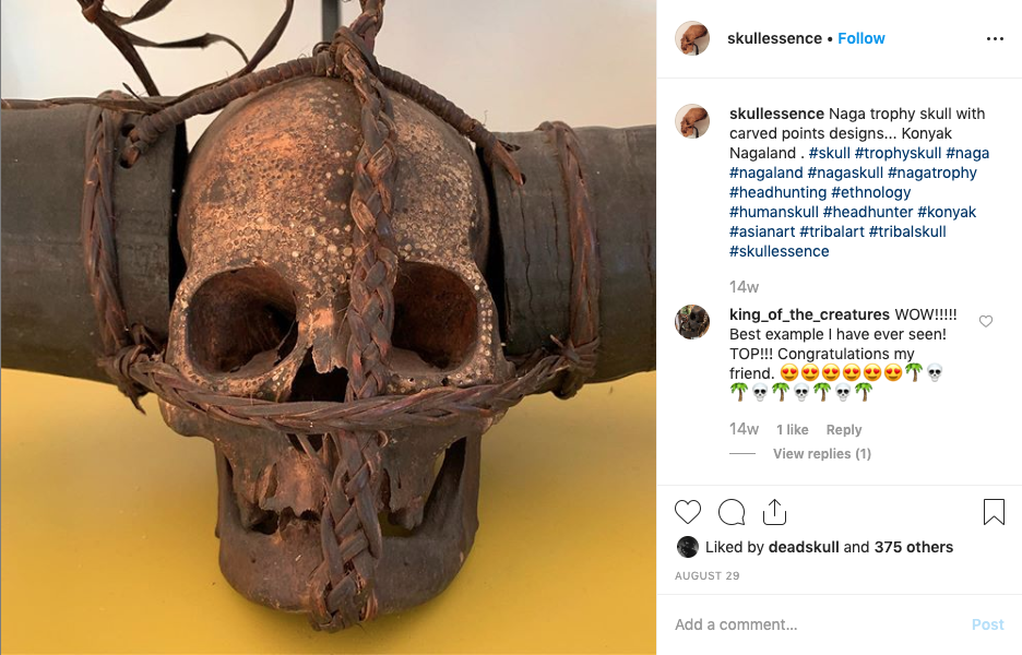 An Instagram post of a '#trophyskull'