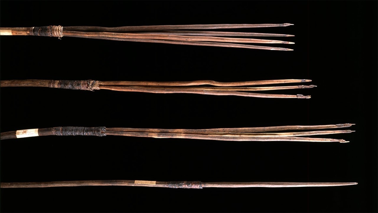 Four Indigenous spears on a dark background