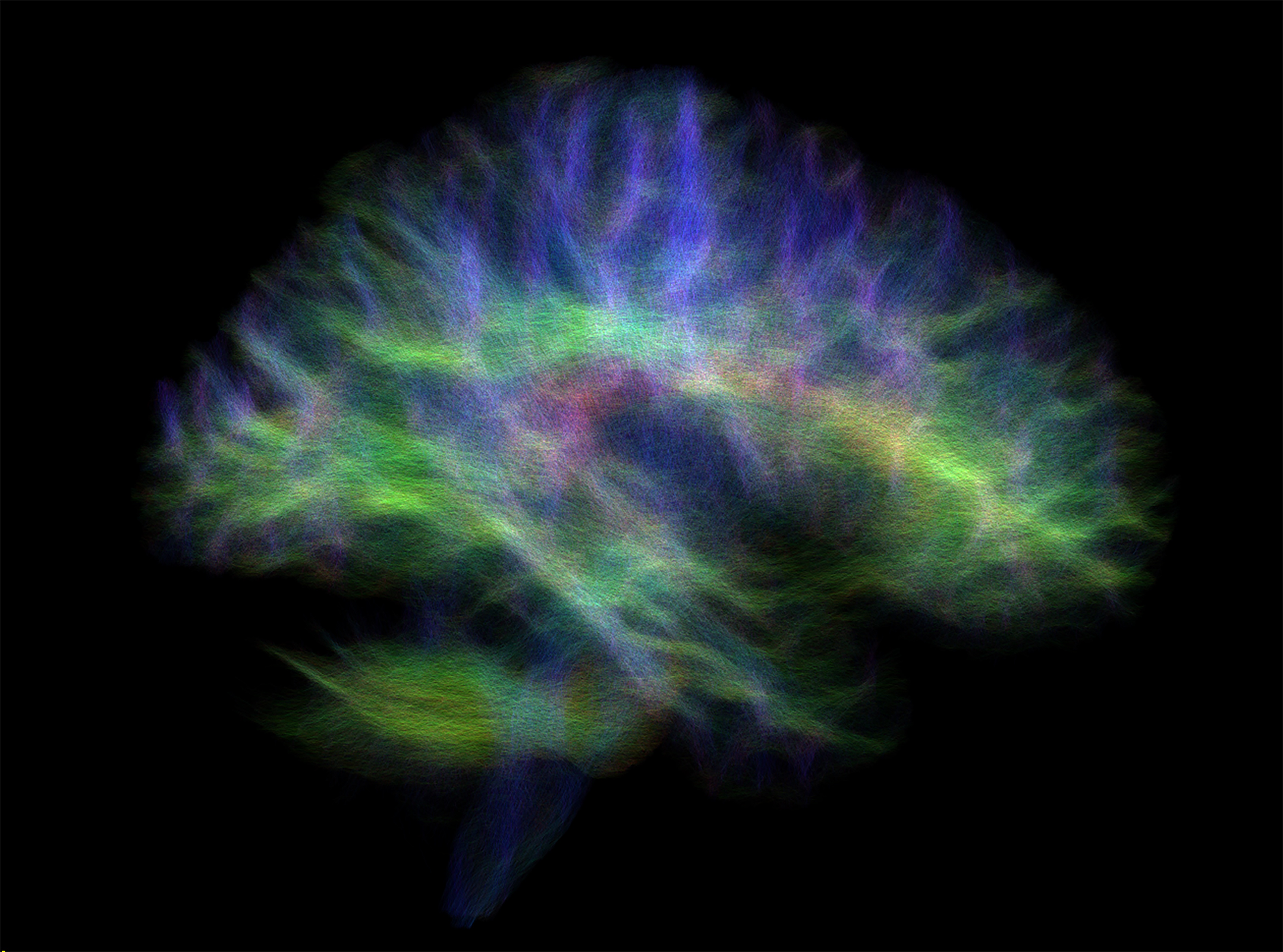A year of research in pictures - The University of Sydney