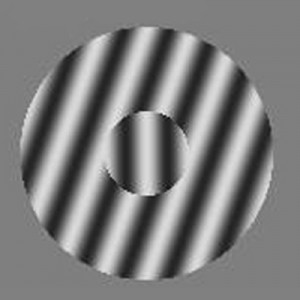 In this tilt illusion, the lines in the centre of the image appear tilted counterclockwise, but they are actually vertical.