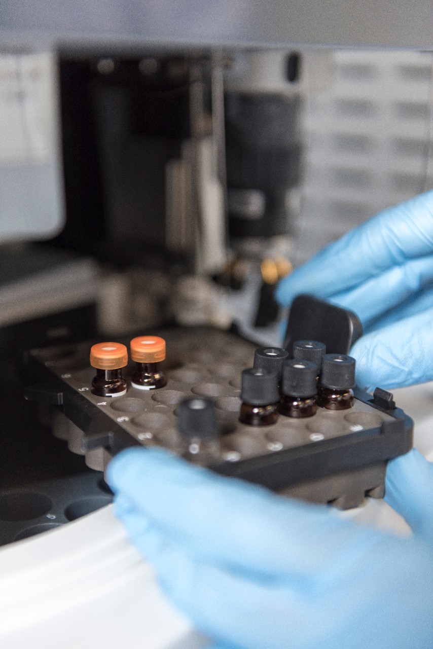 Gloved hands holding lab samples