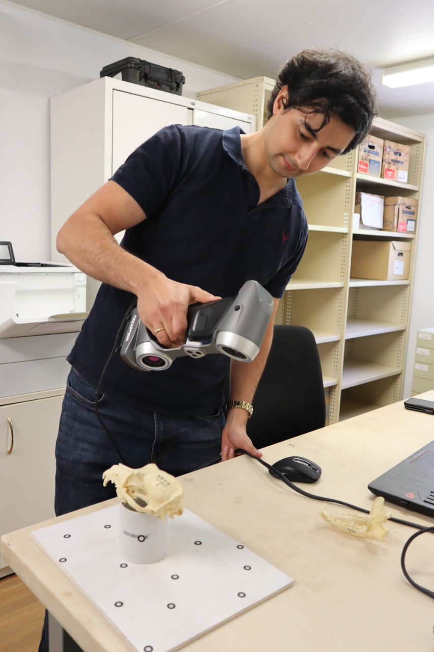 Loukas Koungoulas mapping a dingo skull.