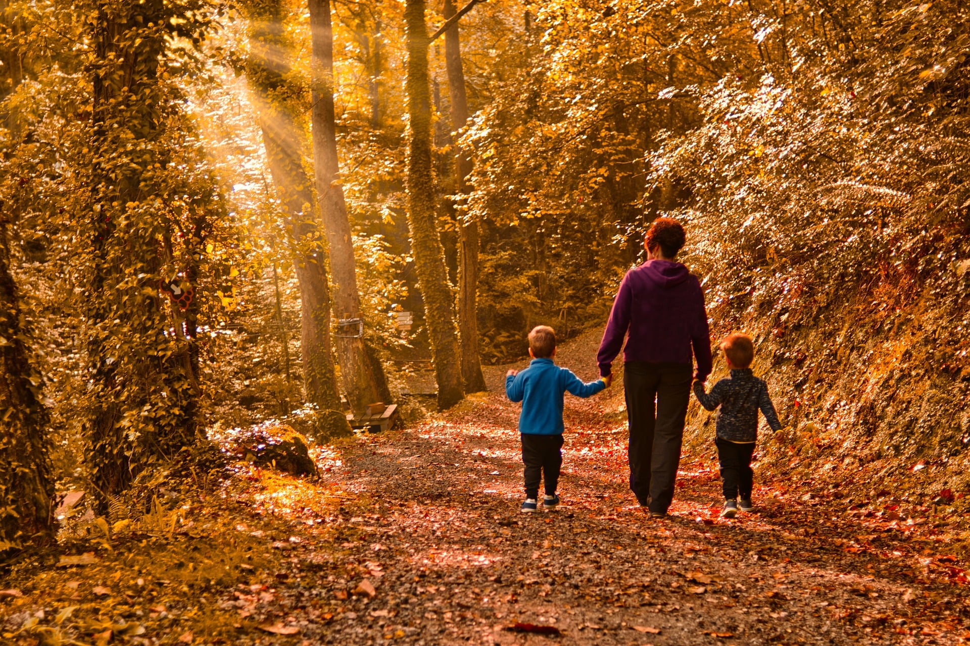 Люблю гулять в лесу. Прогулка в лесу. Осенняя прогулка. Прогулка в осеннем лесу. Семья в лесу.