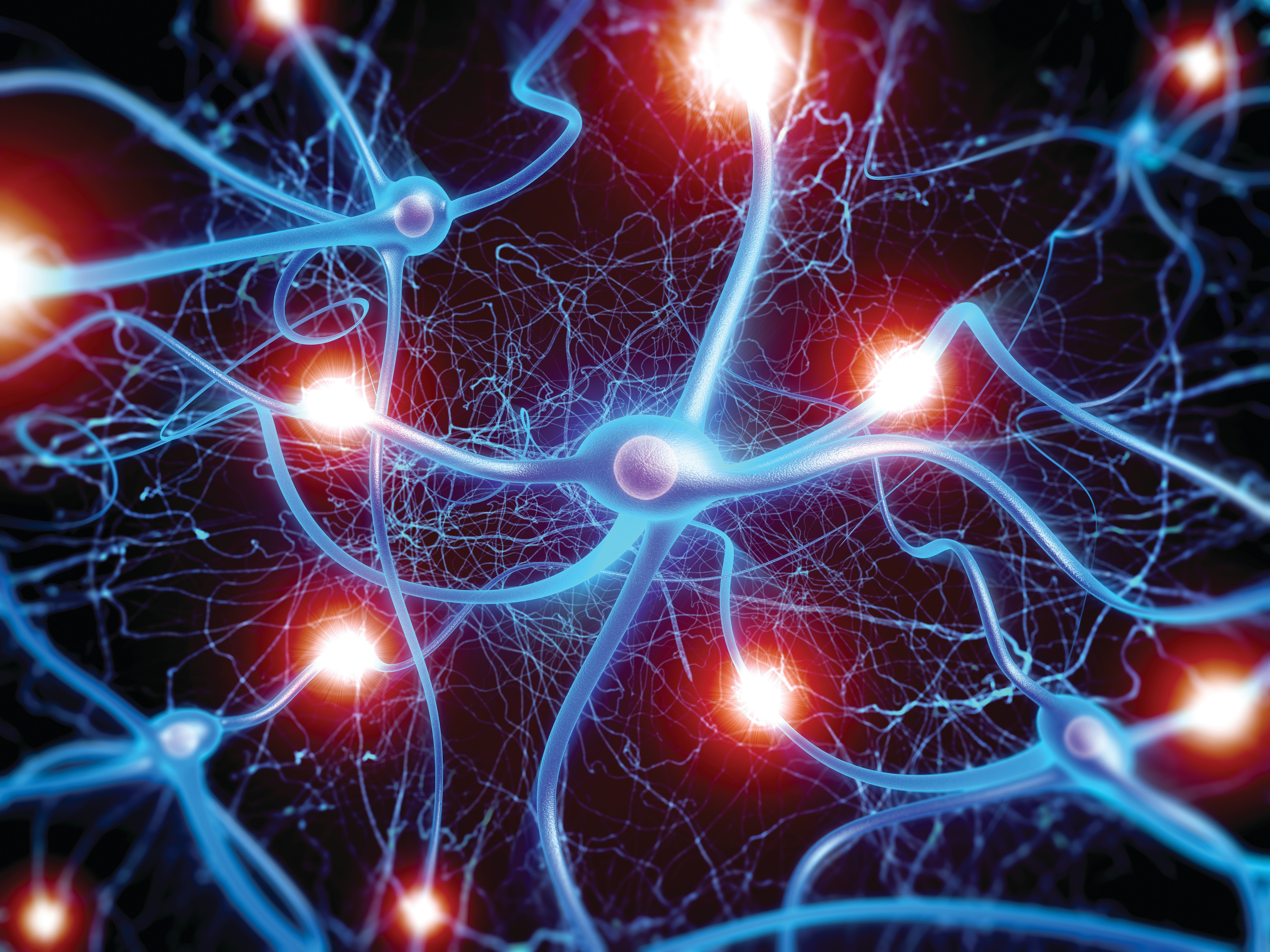 Атом живого организма. Синапс нейрона. Нервная система человека Нейрон. Мозг человека Нейроны. Нейронные сети головного мозга.