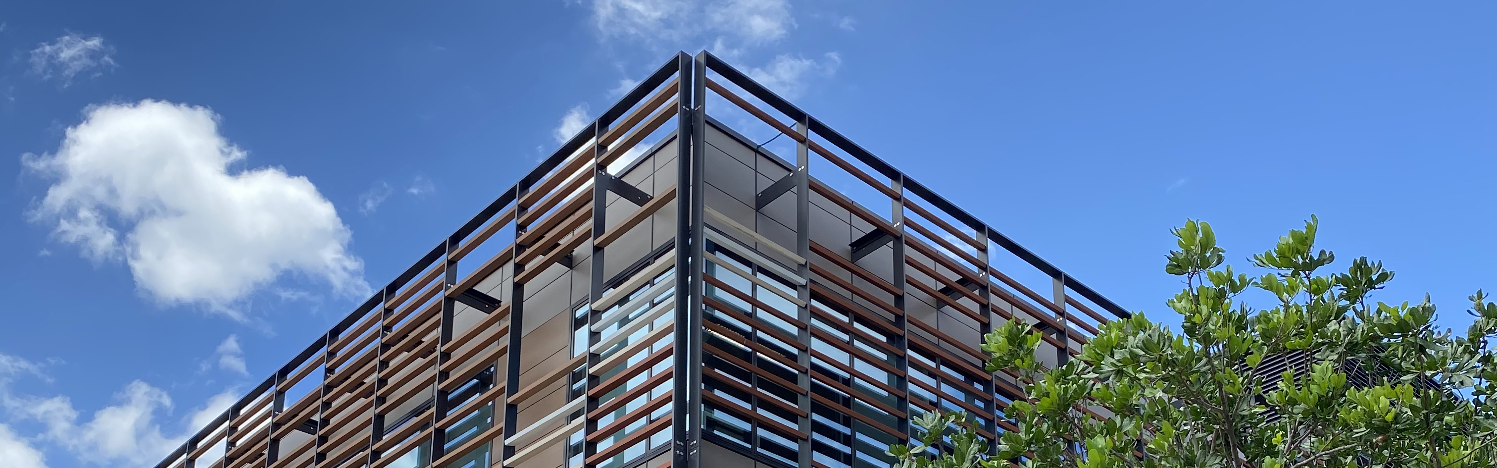 How to drop advanced studies: usyd picture