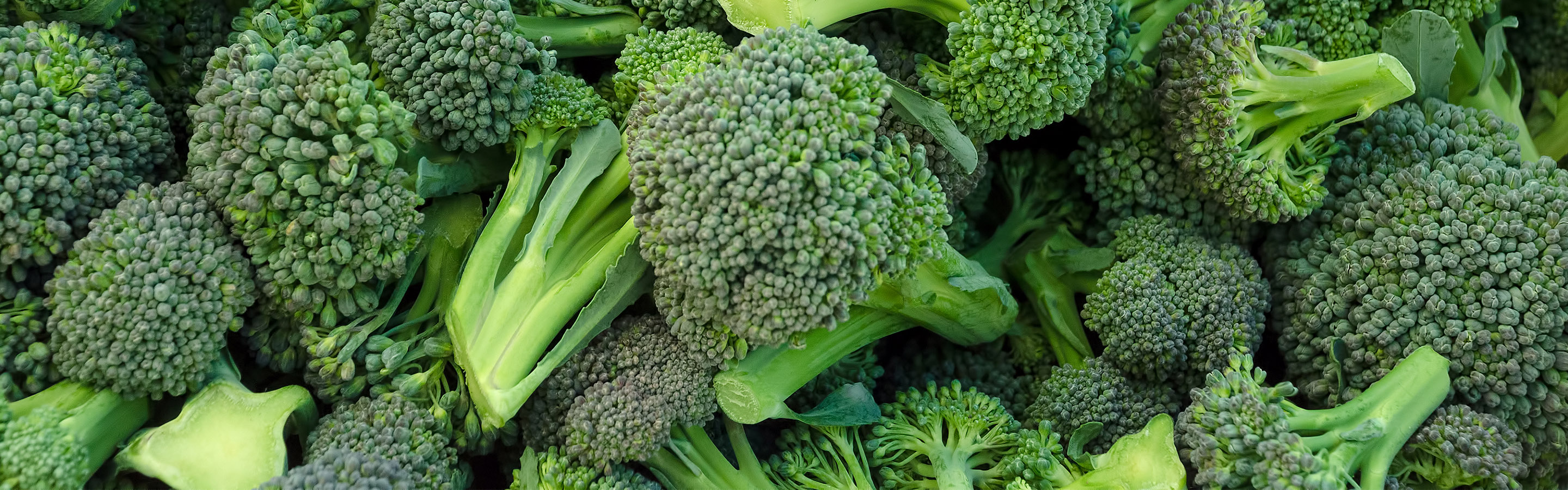 Introducing cruciferous vegetables to our breakfast table - The ...