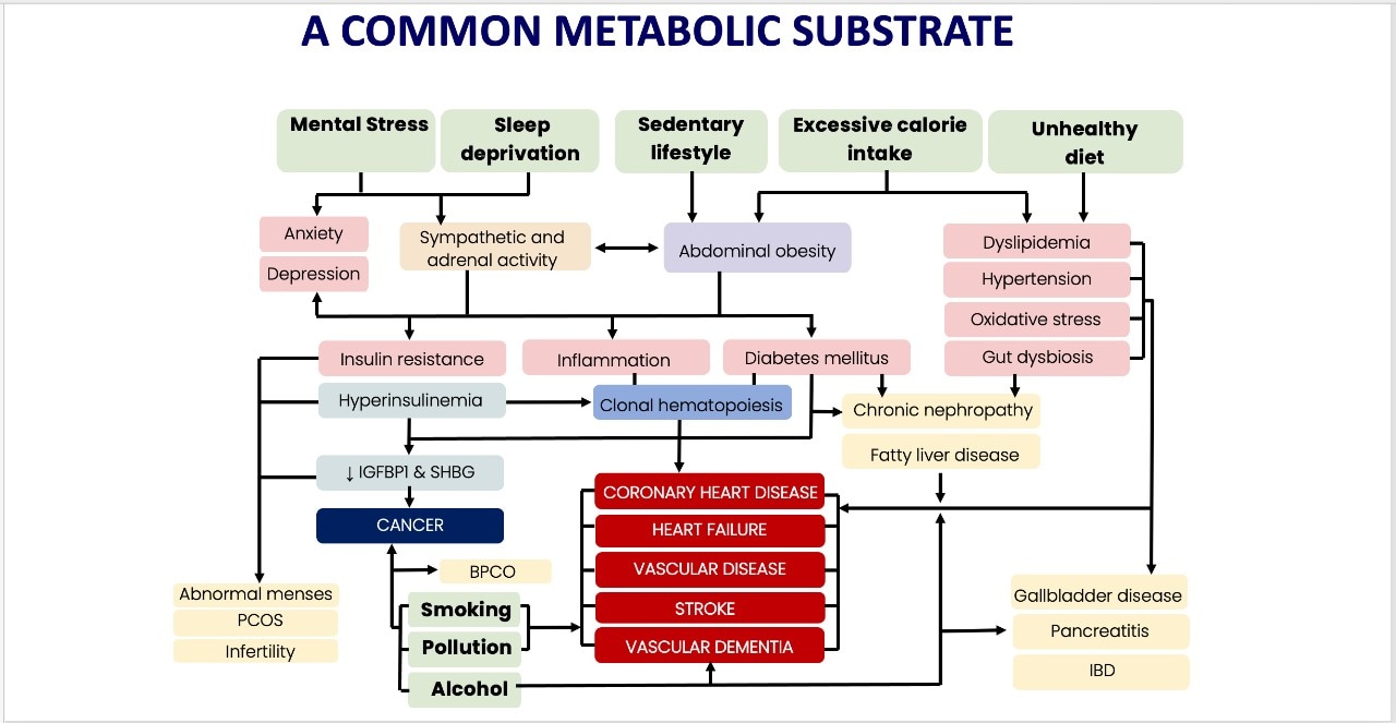 A common metabolic substrate