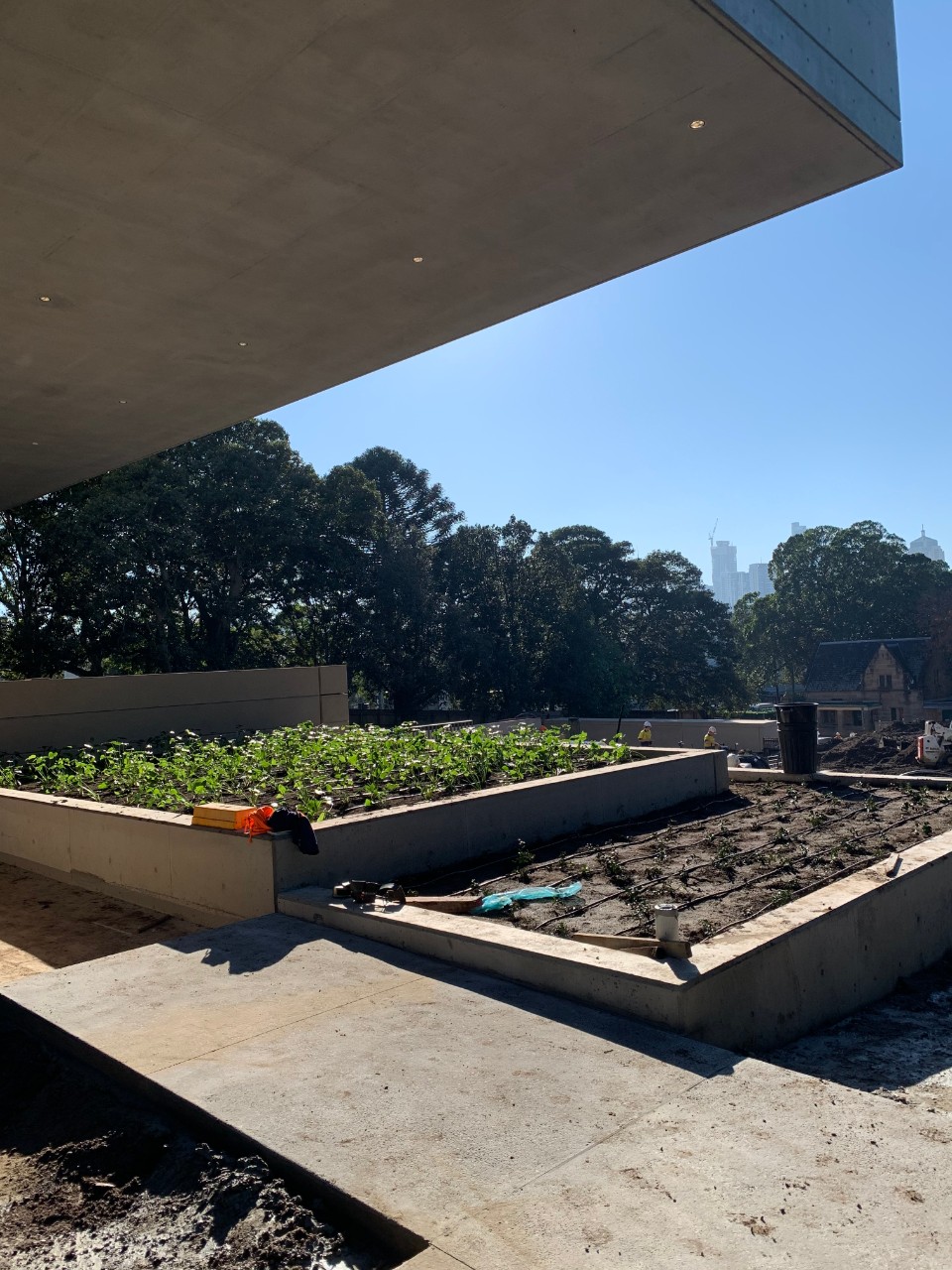 Gardens outside museum