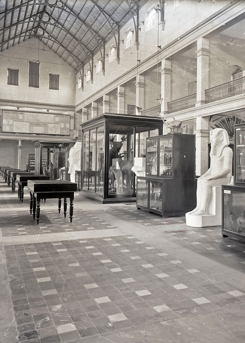 Interior black and white photo of the Macleay exhibits.