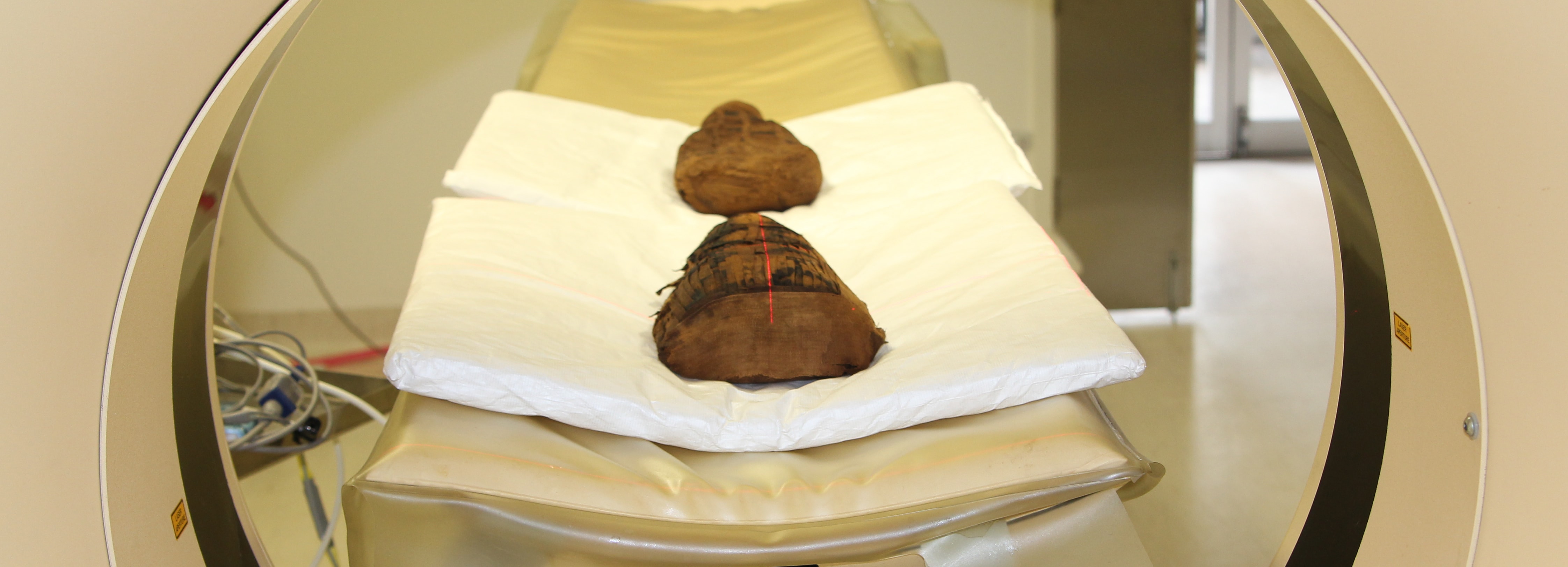 Ibis mummies being scanned