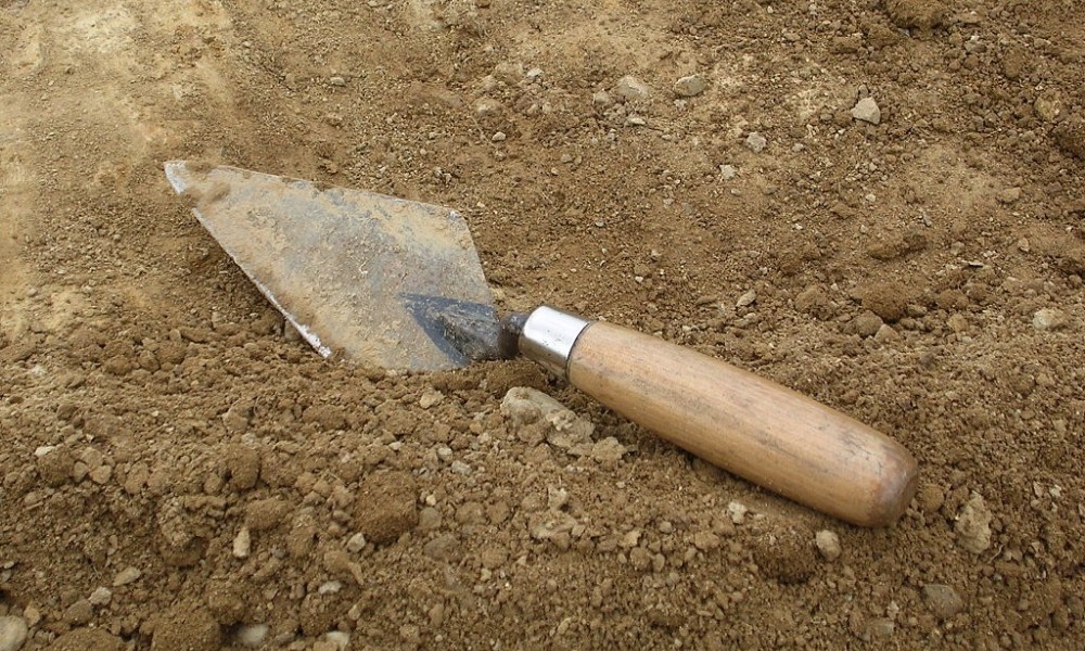 Trowel on dig site