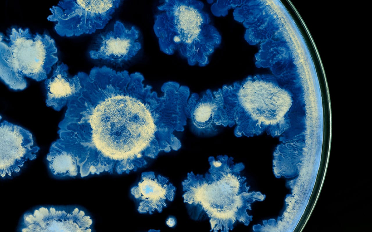 computer generated image showing macro view of microbials