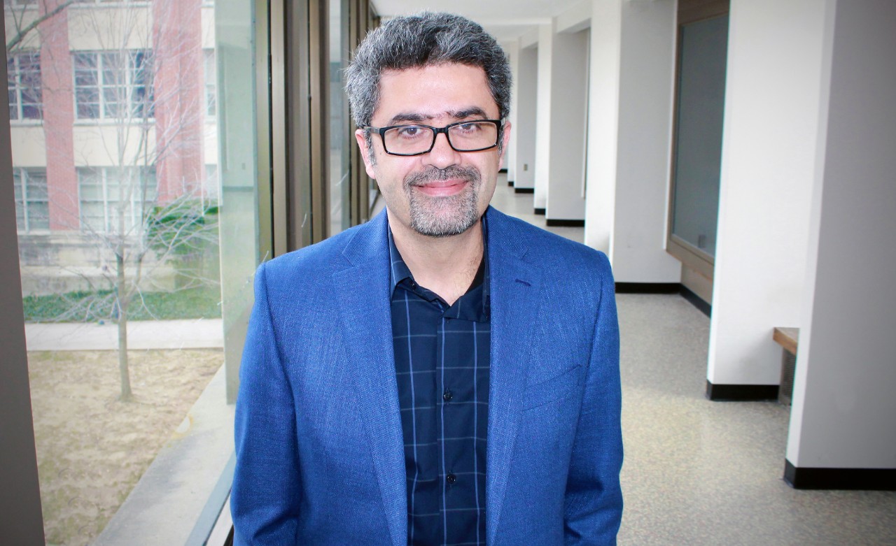 Professor Hesham El Gamal