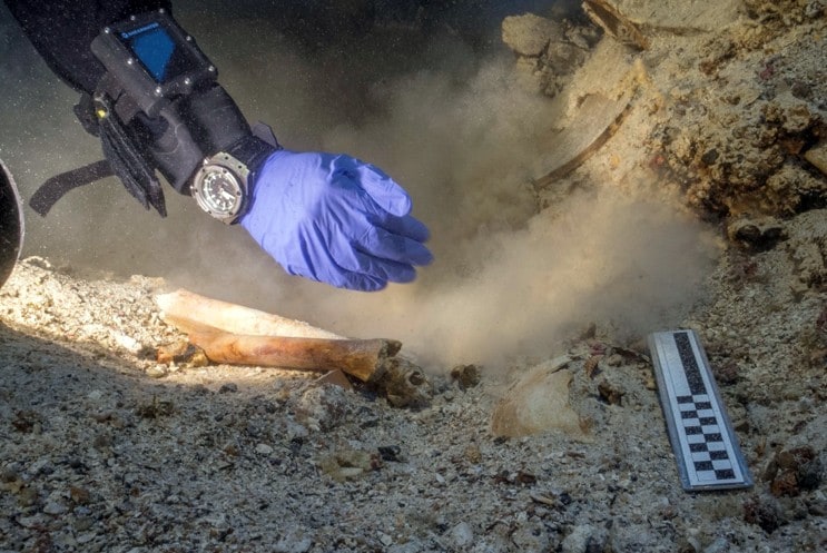 Antikythera shipwreck skeleton remains