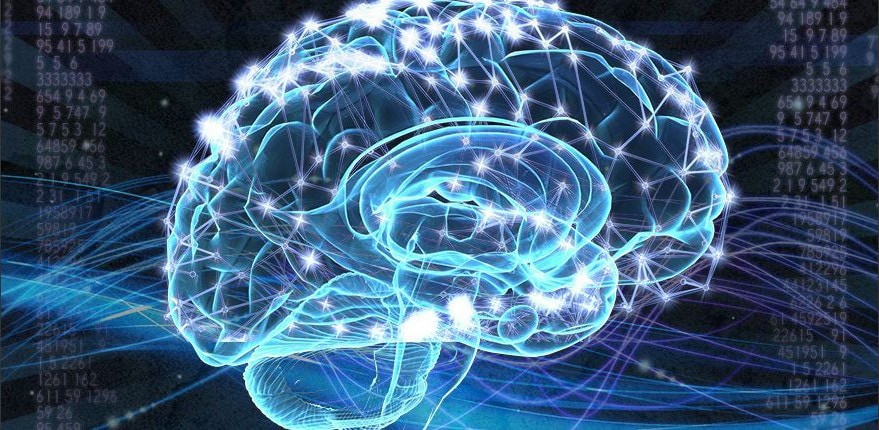 Electric brain to illustrate synthetic intelligence