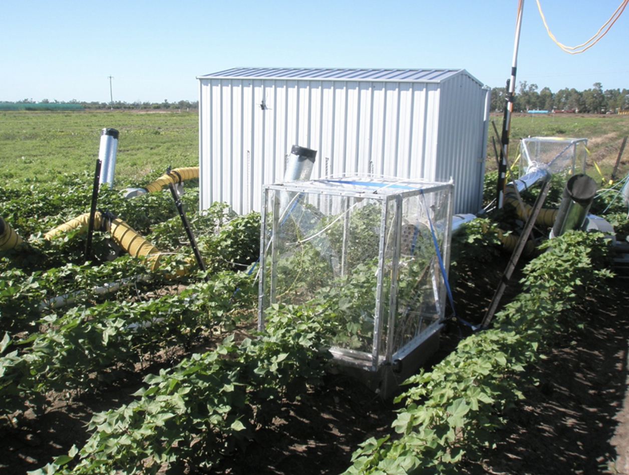 Australian cotton wellplaced to adapt to climate change The