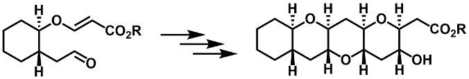 nhc-catalysis-1