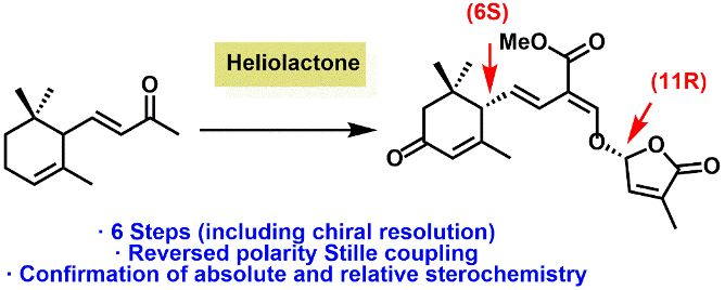 strigolactone-1