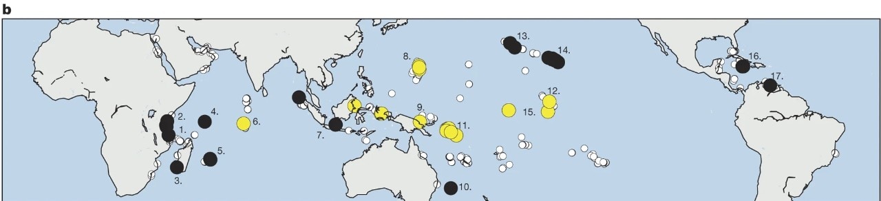 Bright and dark spots among the world's coral reefs