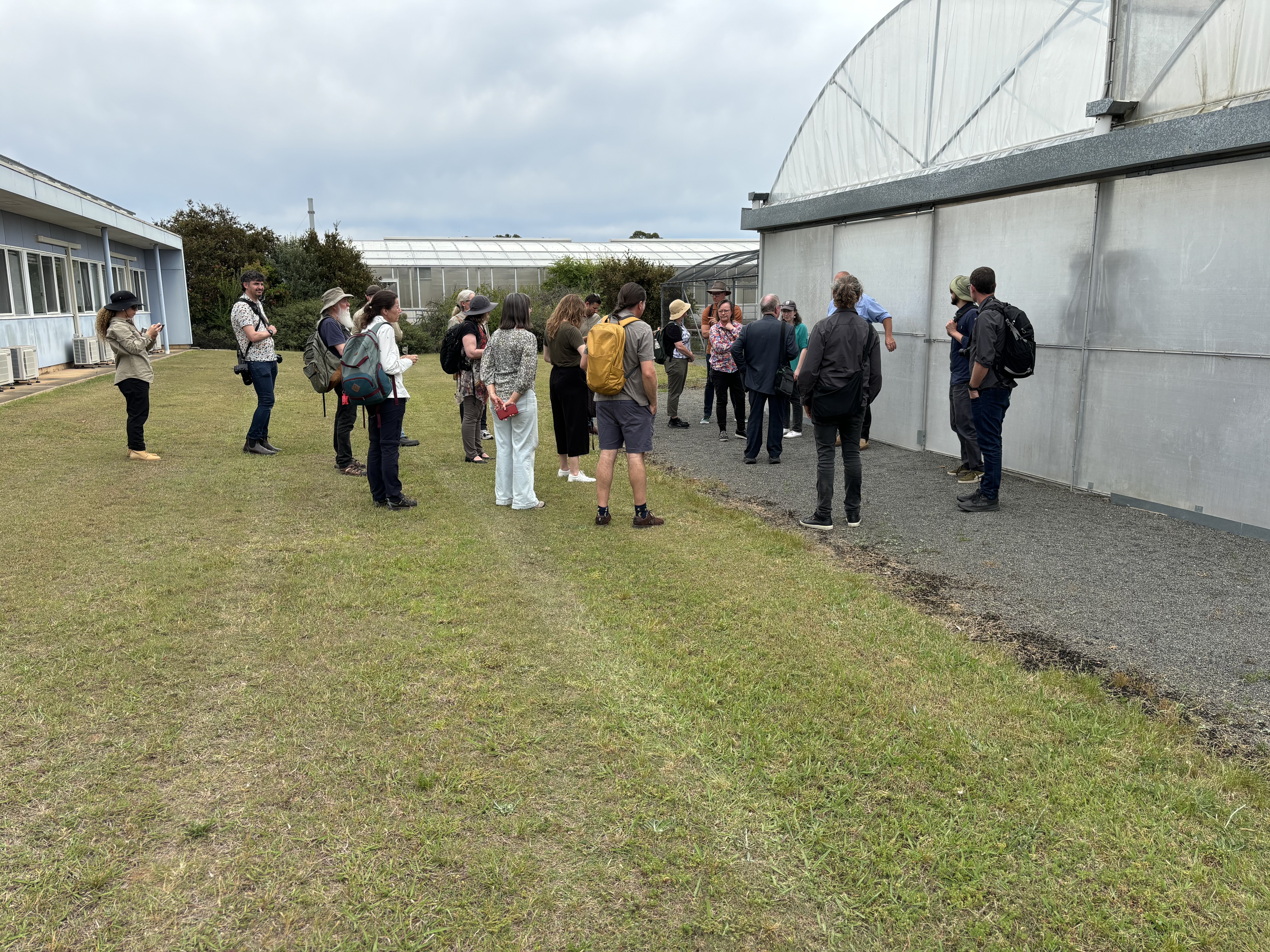 Battling Myrtle Rust: Scientists Unite at PBI Cobbitty - The University ...
