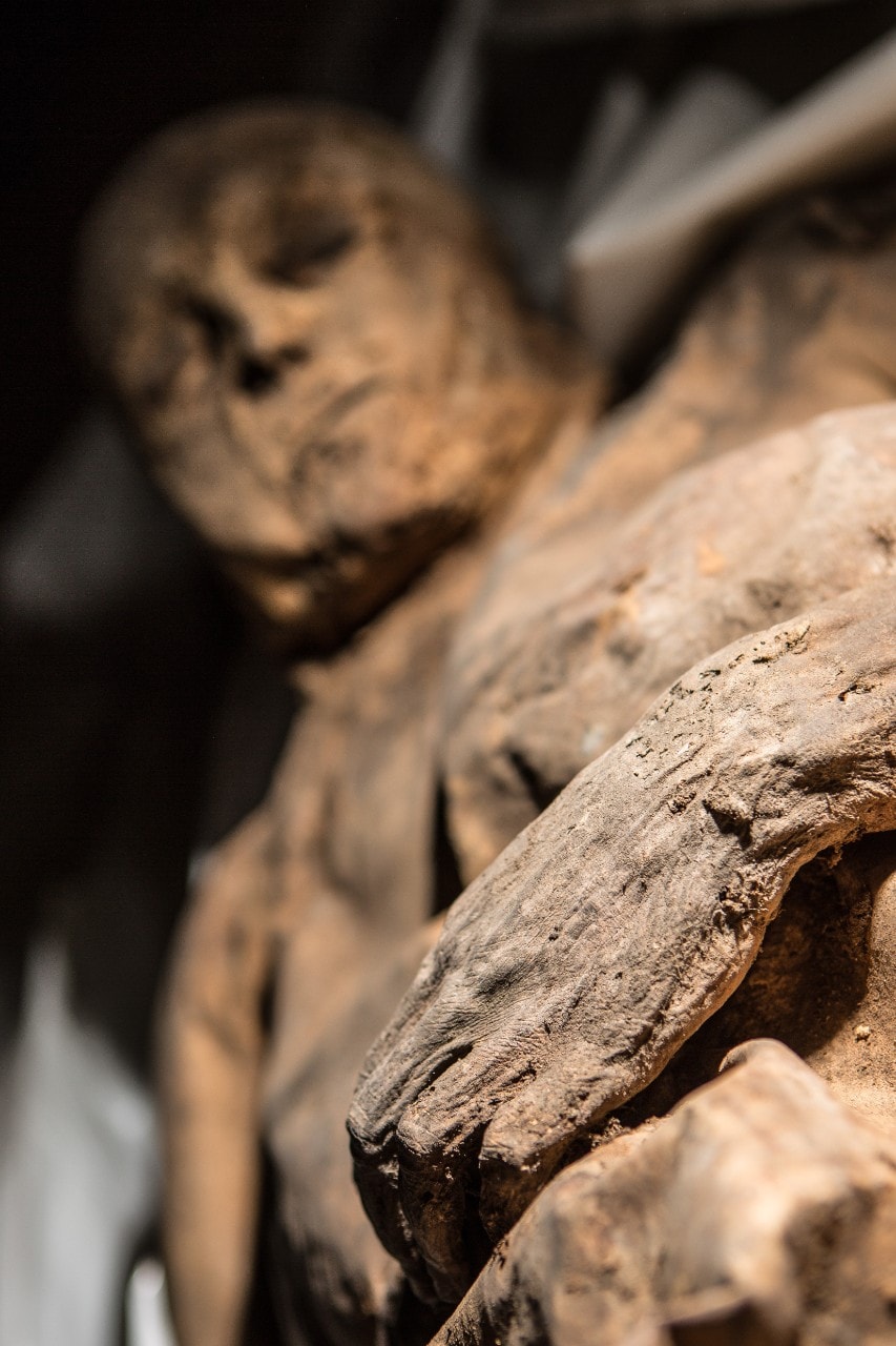 Kiril Čachovskij and the Lithuanian Mummy Project 2015