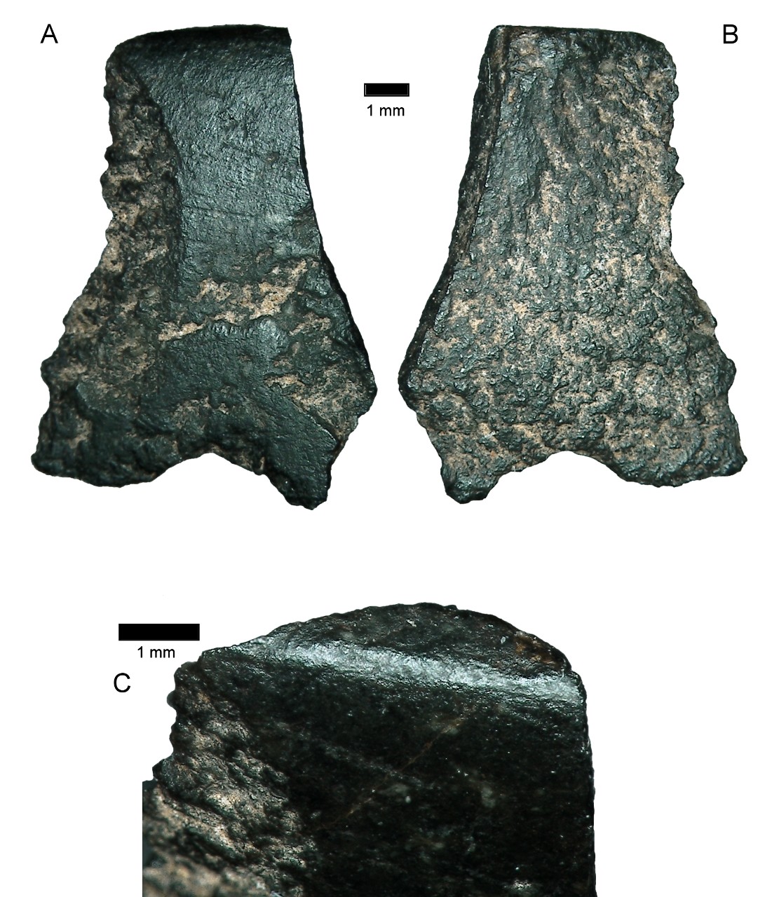 World's oldest axe fragment