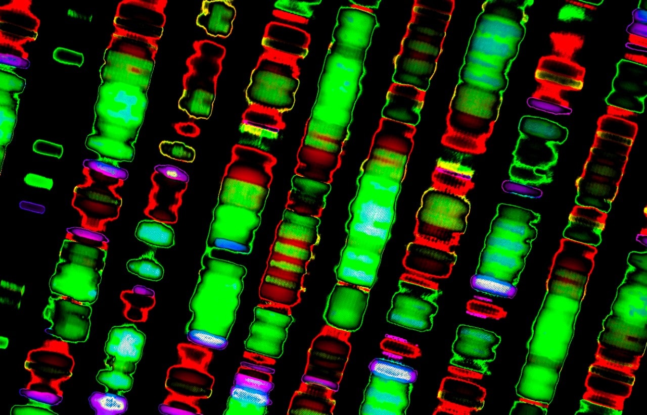 Life sciences DNA