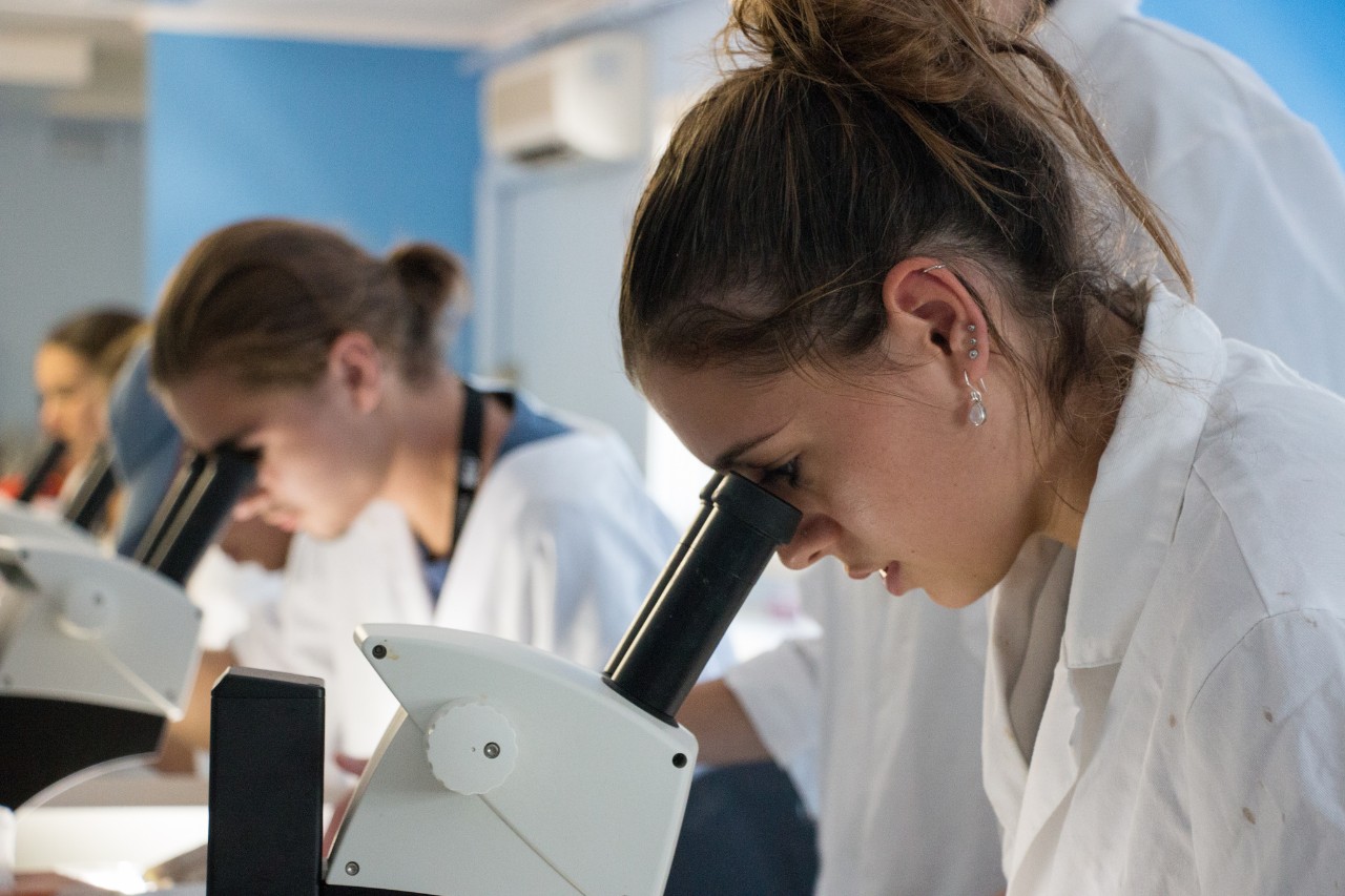 A photo of students from the 2017 Summer Program looking through a microscope
