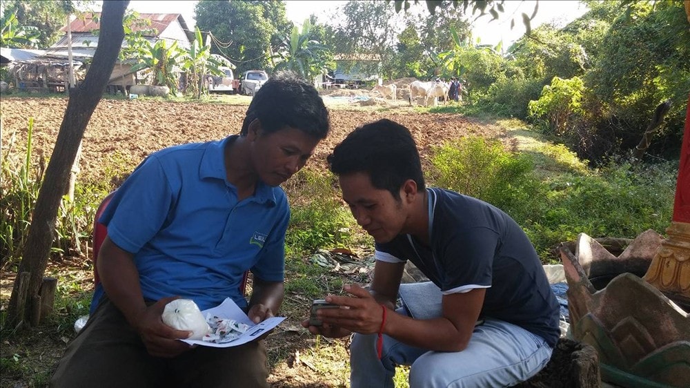 A student demonstrating how to use the mobile phone app to a Cambodian rice farmer.