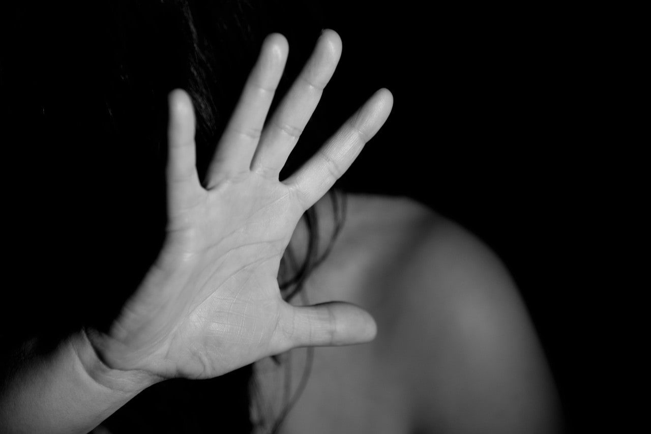 argumentative essay on domestic violence