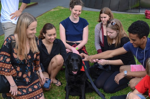 Therapaws program with dog and people patting dog