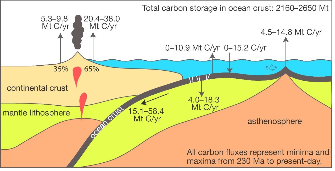 The oceanic slow carbon cycle. Credit: Adriana Dutkiewicz