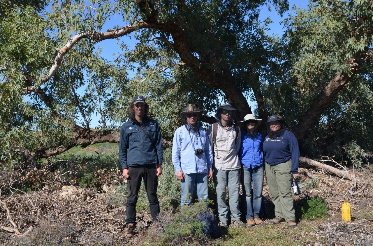 Members of a field team on a recent (June 2019) field trip to Ethabuka Reserve, Simpson Desert, standing under the shade of an old coolibah tree. Left to right: James Vandersteen, Stephen Sarre, Ryan Sarre, Jacqui Meyers and Dara Albrecht. Photo: Chris Dickman