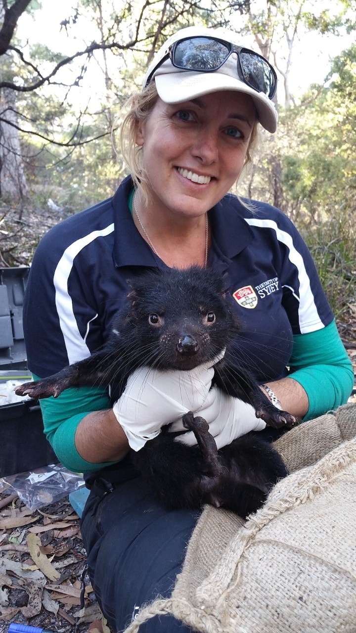 photo of Dr Carolyn Hogg holding a Tasmanian devil in the wild