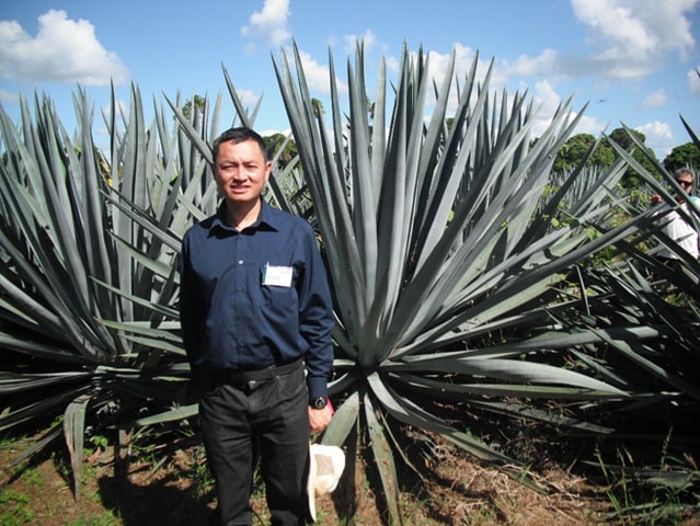 Associate Professor Daniel Tan in Ayr, Queensland, in front of agave plants.