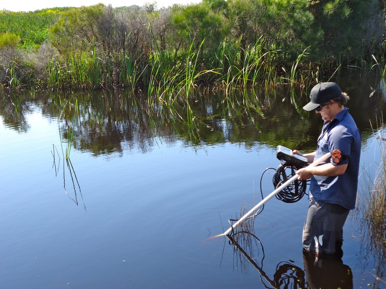 NSW Department of Planning, Industry and Environment officer collecting data at Bengello, near Batemans Bay. Photo courtesy NSW DPIE