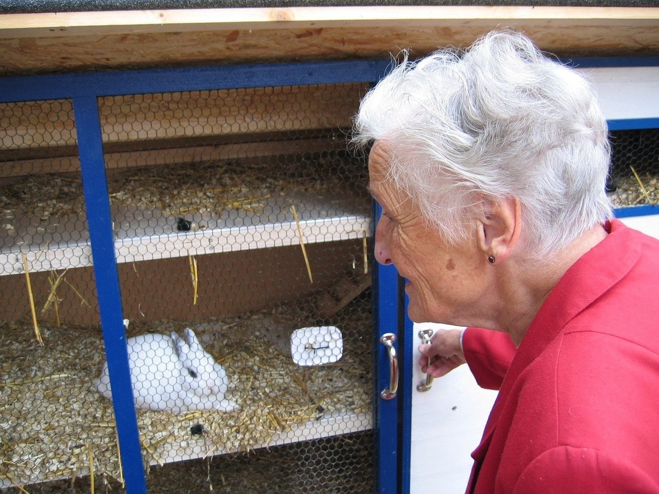 photo of a woman looking at her rabbit in a hutch