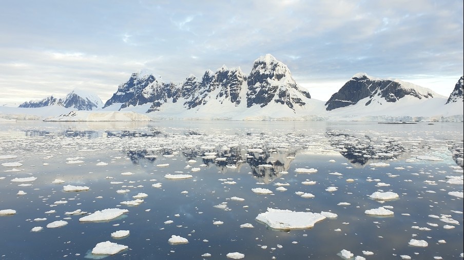 Sea ice in Antarctica. Credit: Carolyn Hogg