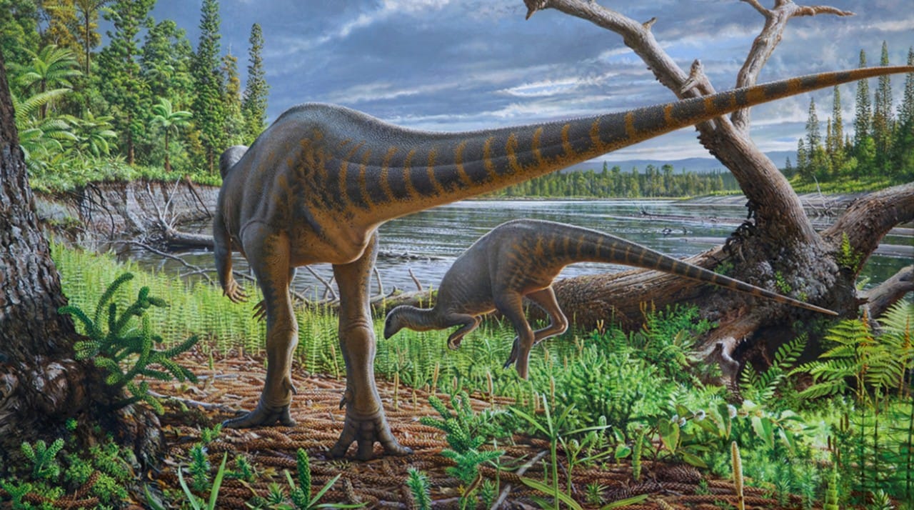 Artist’s impression of Diluvicursor pickeringi in the rift valley of the Australian-Antarctic plate during the early Cretaceous – modern day Cape Otway, Victoria.
