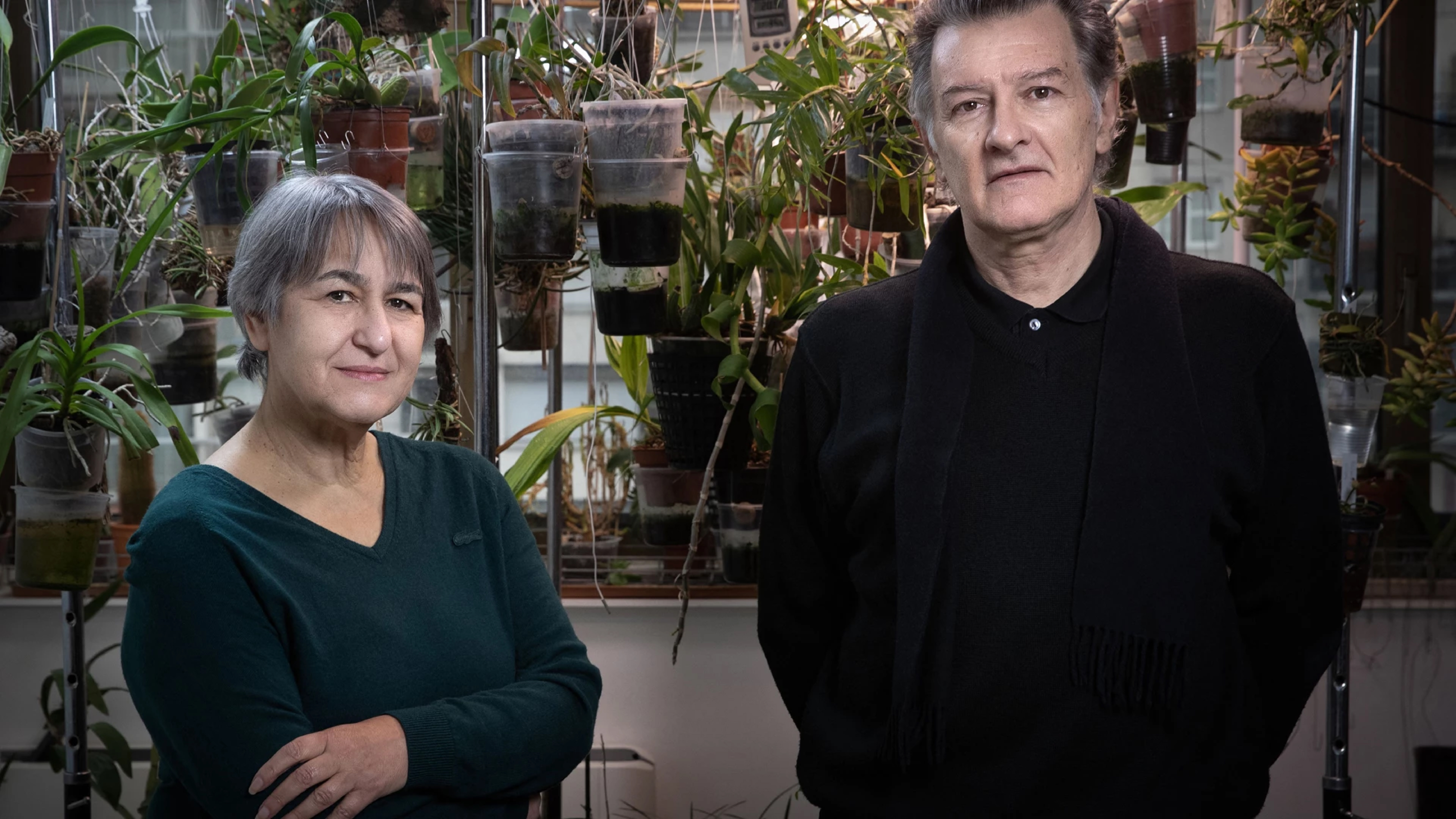 Lessons from French architects Lacaton & Vassal - The University of Sydney