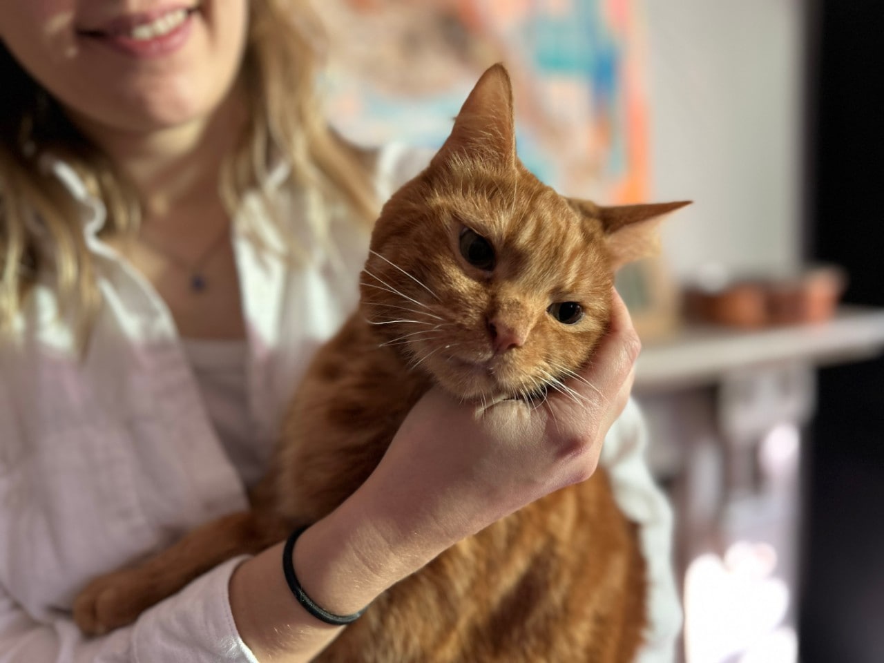 New Simon's Cat video focuses on cat sounds