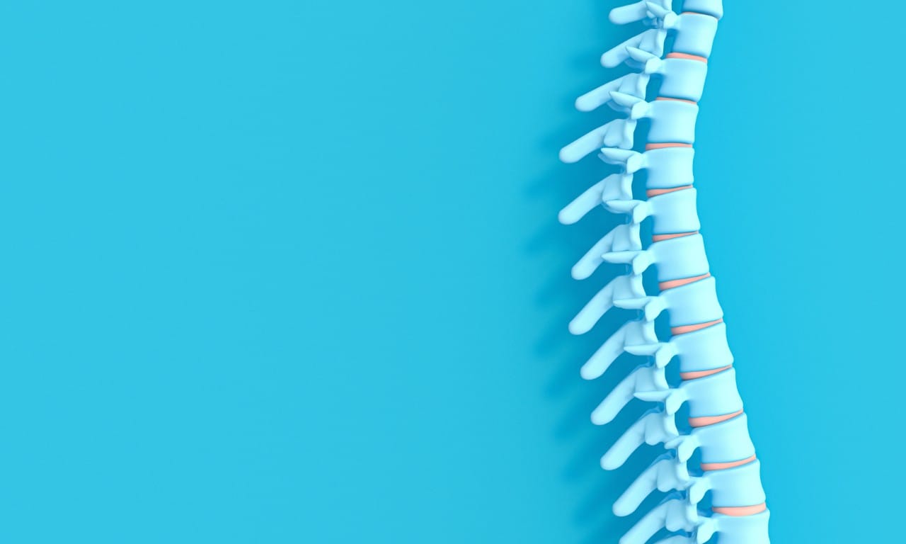 A stylised graphic of a blue spinal column against a blue background.