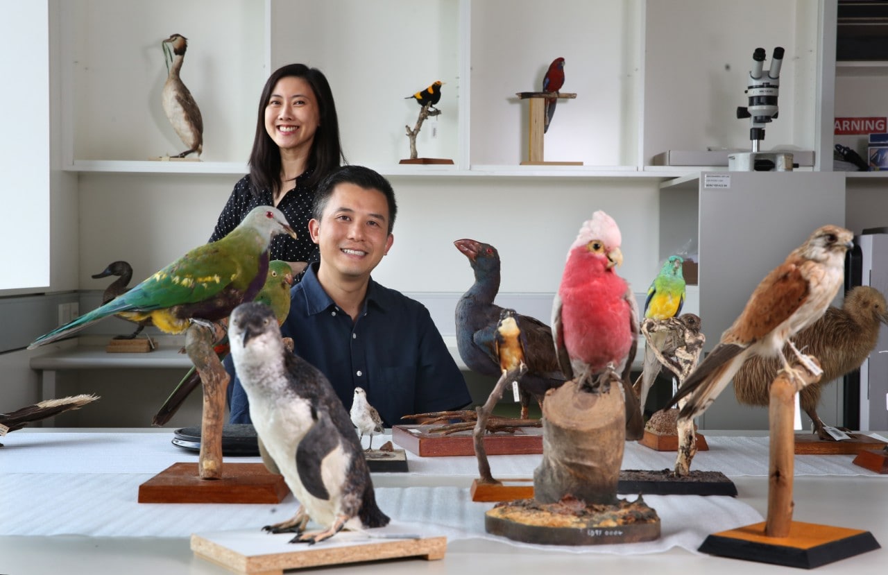 Professor Simon Ho (seated) with Dr Jacqueline Nguyen at the Australian Museum. Photo: James Alcock