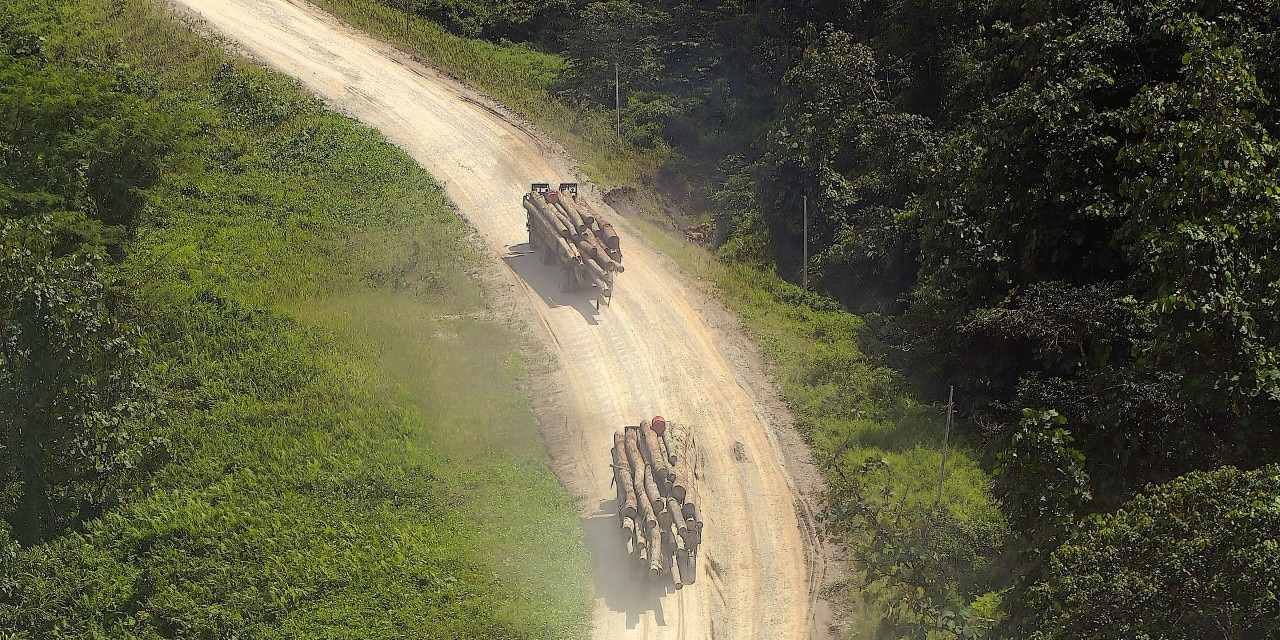 Presumptive ghost road in Sabah, Malaysian Borneo. Photo: Rhett Butler
