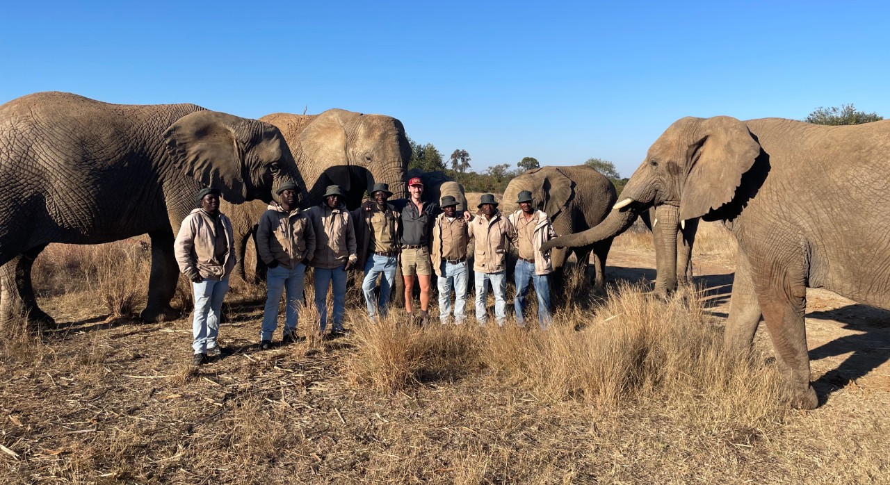 The research team - humans and elephants. 