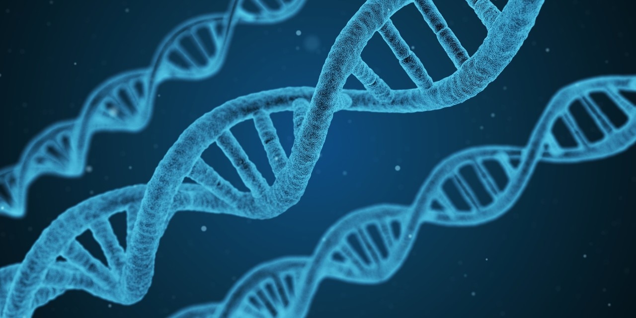 Visualisation of DNA strands in blue
