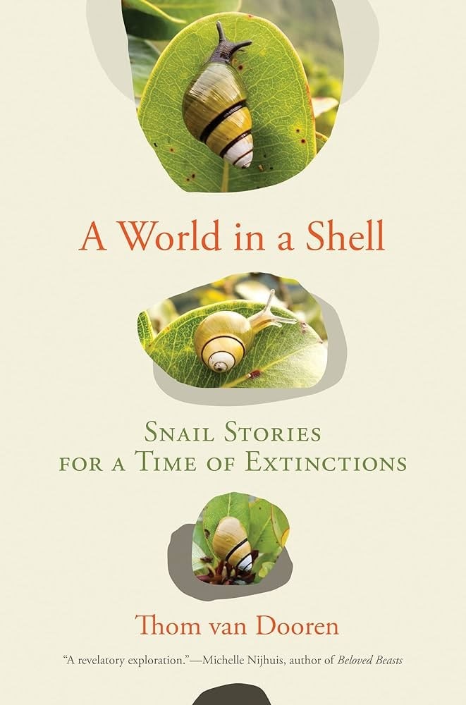Cover of book A World in a Shell